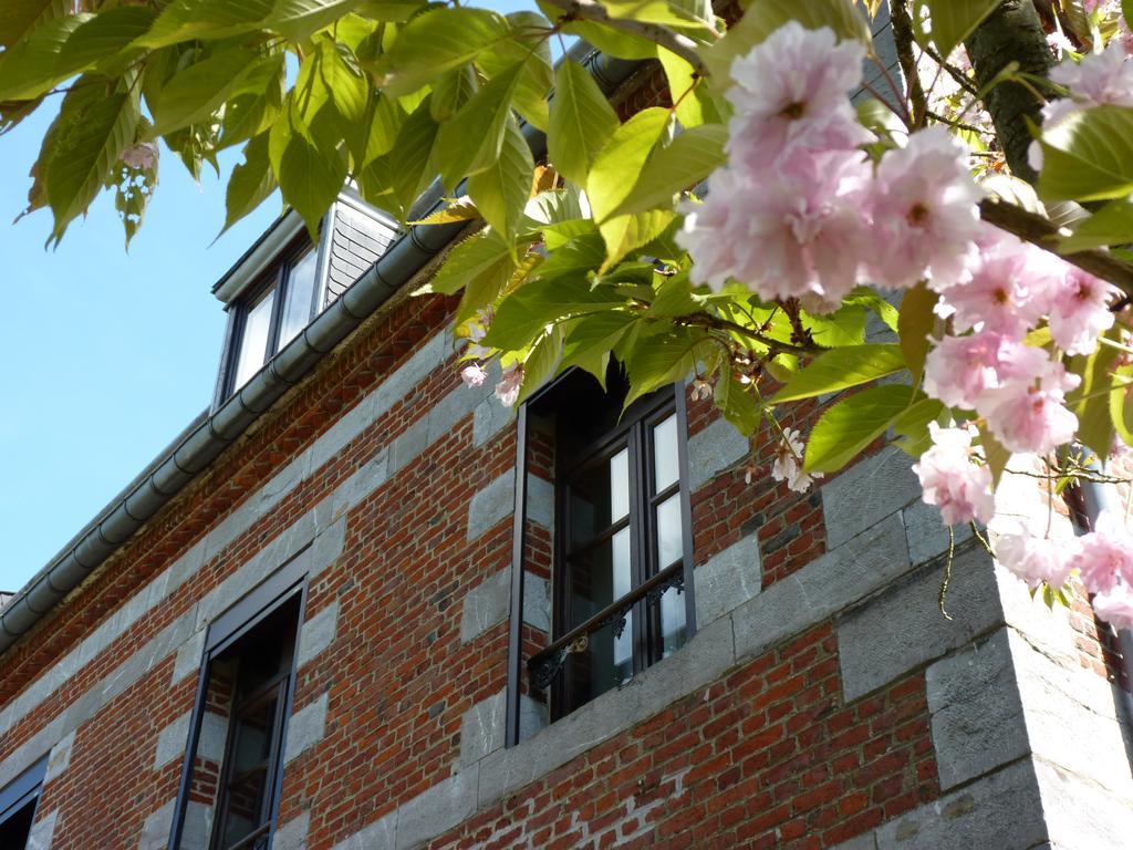 Aubepine Bed and Breakfast Sains-du-Nord Εξωτερικό φωτογραφία